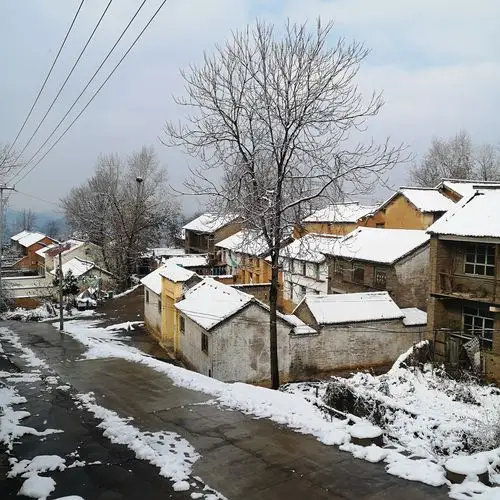 雪落王圪罗格外美