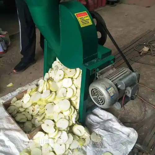 圣成电动中药材削片机康斯特农用白地瓜红薯切片机