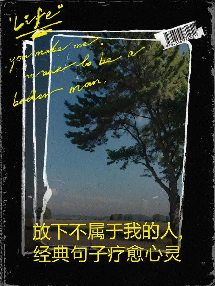 放下不属于我的人,经典句子疗愈心灵