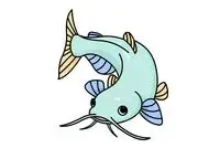 鲶鱼的画法步骤简笔画