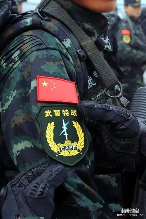 周未图片欣赏武警特战队员配发新型特战服