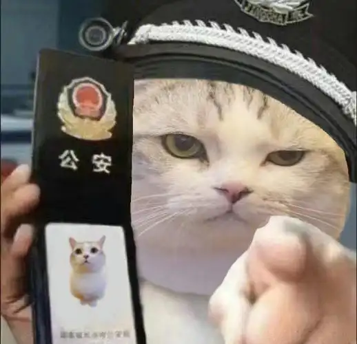 被困在河南这几天回不去北京了…手里的库存只够做几个表情包的了