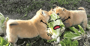 搞笑gif图第2弹:大爷,按的力道还行吧