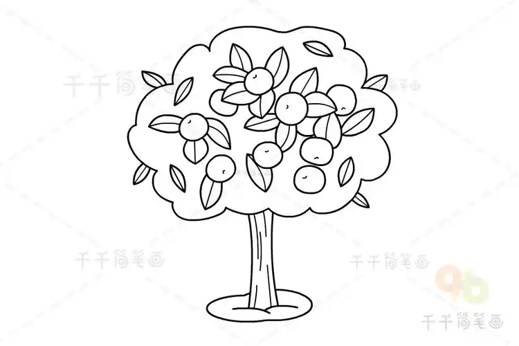橙子树简笔画步骤图