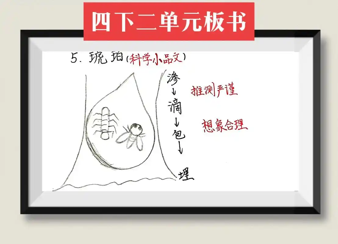四年级下册语文第二单元板书设计《琥珀》《飞向蓝天的恐龙》《 -抖