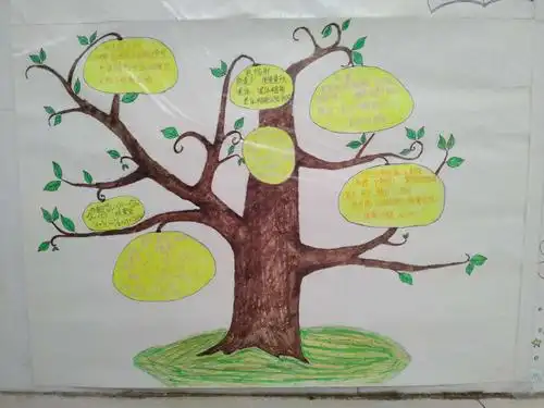 356孩子们做的知识树,思维导图