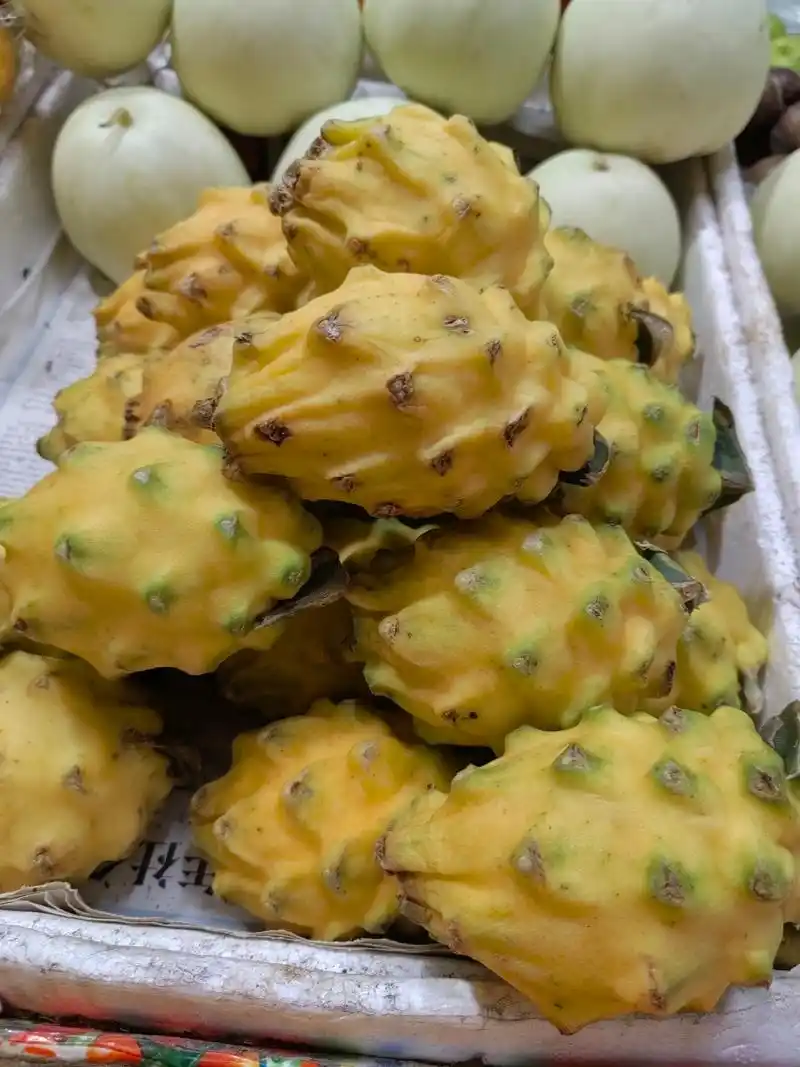 喜欢这种燕窝果的味道吗?