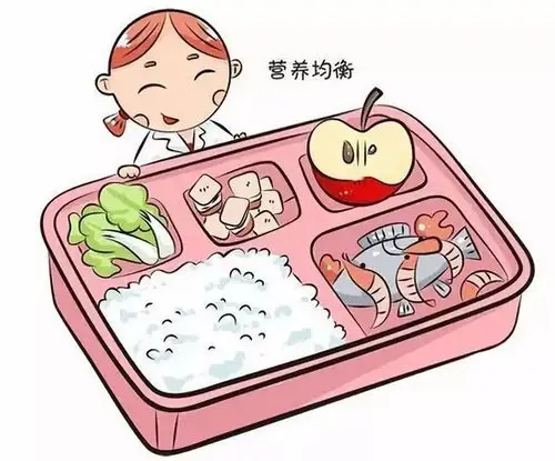 三伏天健康饮食要点