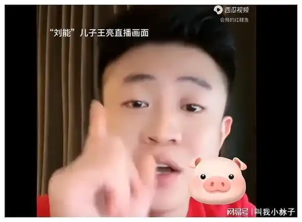 真原谅了赵本山劝和王亮终道歉李琳怨恨自己心软恨不得出家