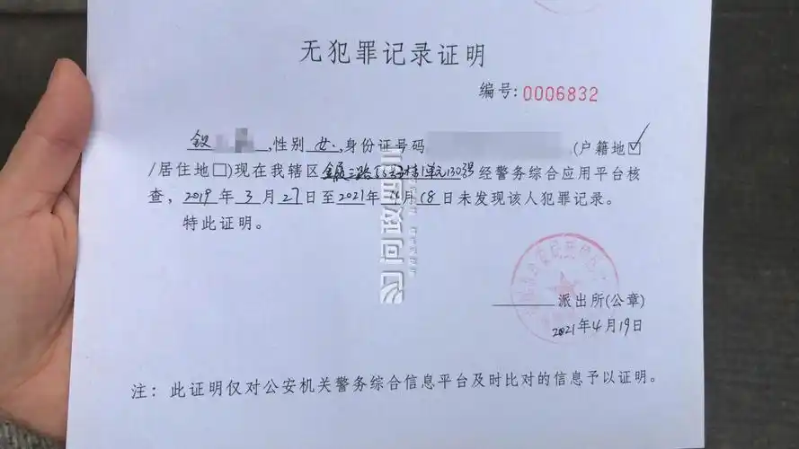 03无犯罪记录证明