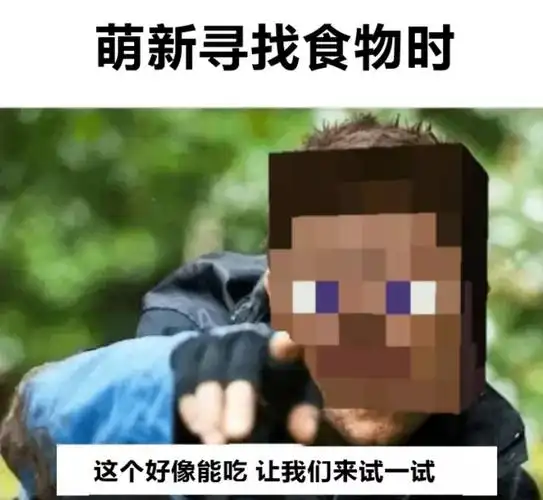 我的世界:mc梗图