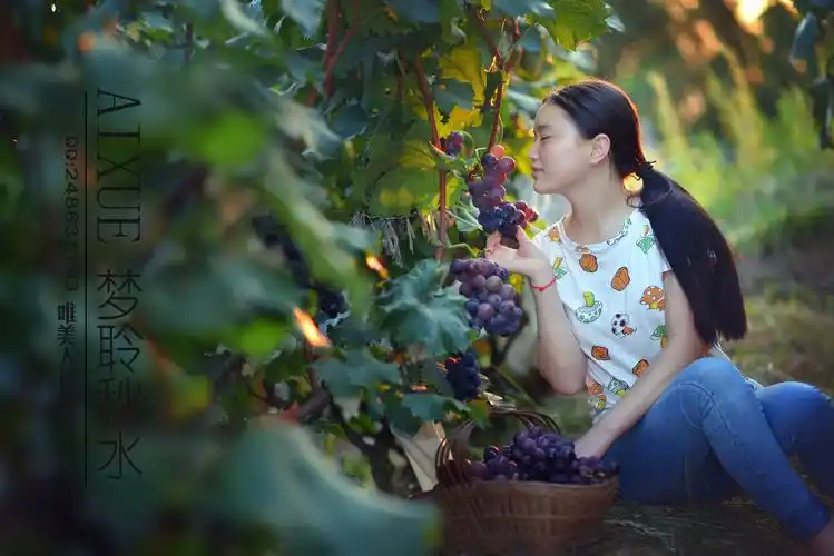 摘葡萄的小姑娘