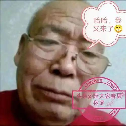 王大爷搞笑对白图