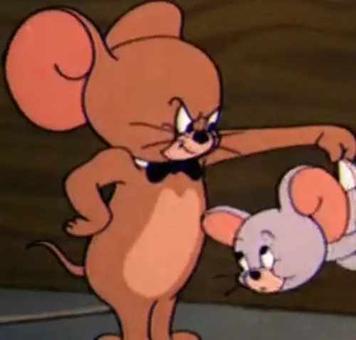 猫和老鼠|泰菲和杰瑞的过去合集【情头】