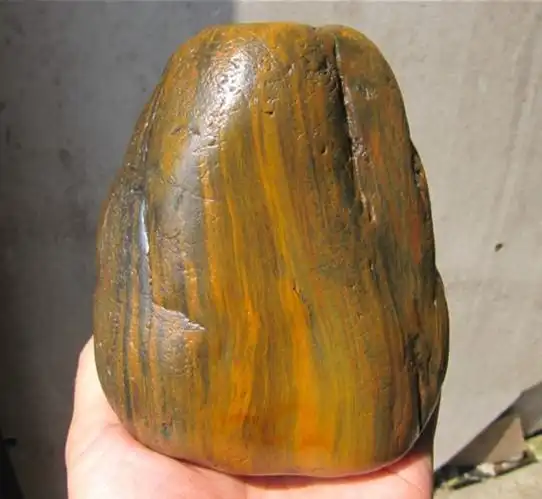 掌握了以下几点,就能分辨玉和树化玉的区别