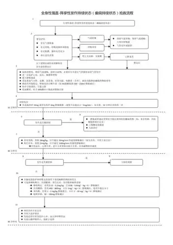 癫痫持续状态抢救流程图doc