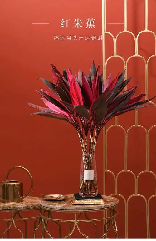 红色富贵竹 一年红红火火,步步高升,一扎5枝45元中通陆运包邮到家!
