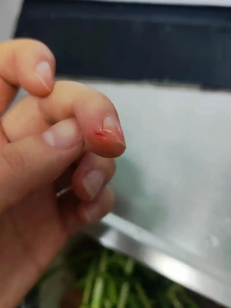 我就是做饭没味,切菜老是切破手指,真不是装的,我老公吃我的饭 - 抖音