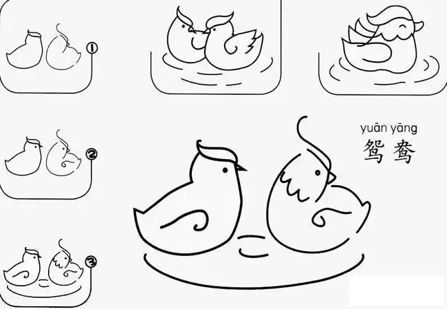 鸳鸯怎么简单画 鸳鸯简笔画的画法步骤图