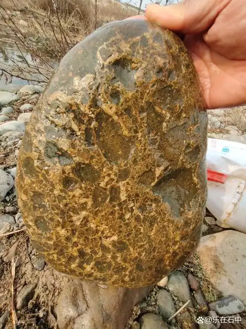 这块龙纹石朋友们看看如何,起伏的纹理精美的画面,漂亮吧