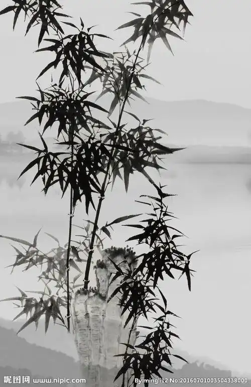 水墨竹子玄关图片