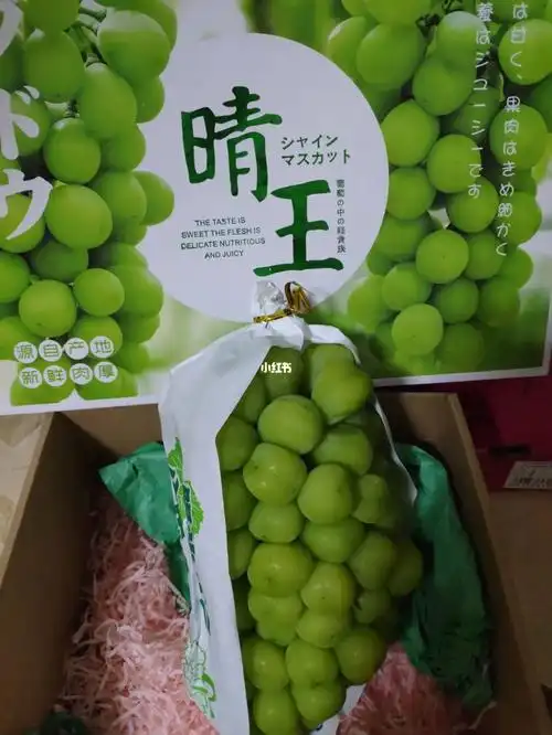 浅尝一下晴王葡萄