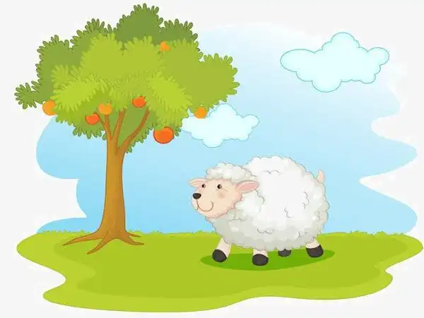 卡通草地上的羊