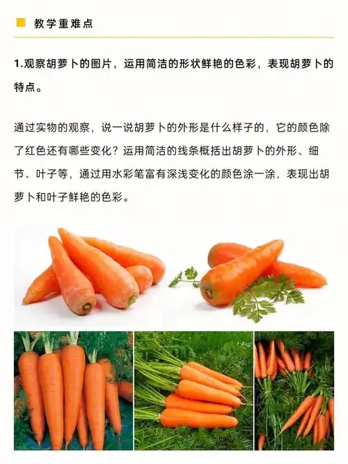 今日小班作品分享胡萝卜一家