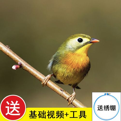 苏绣刺绣手工diy套件自绣材料包初学古风自绣入门小鸟实拍图