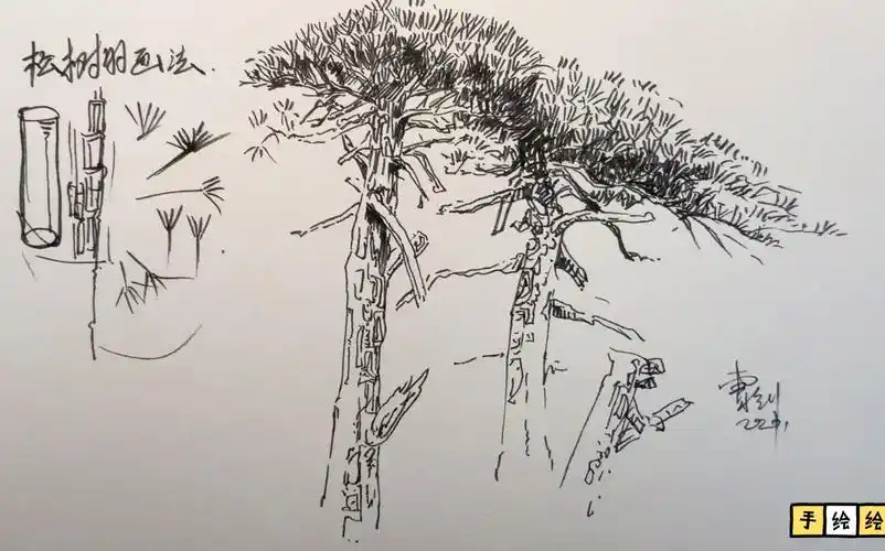 松树怎么画?手绘钢笔速写,入门级绘画教程