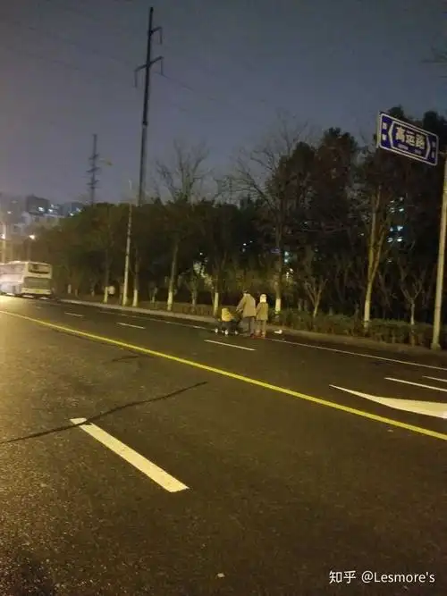 冬季的晚上散步回家,一对年迈的老人,推车里推着一只年迈的金毛,看到