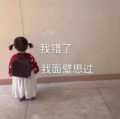 好吧 我错了 我面壁思过 - 罗熙小可爱表情包存一下