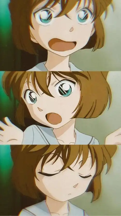 灰原哀 - 堆糖,美图壁纸兴趣社区