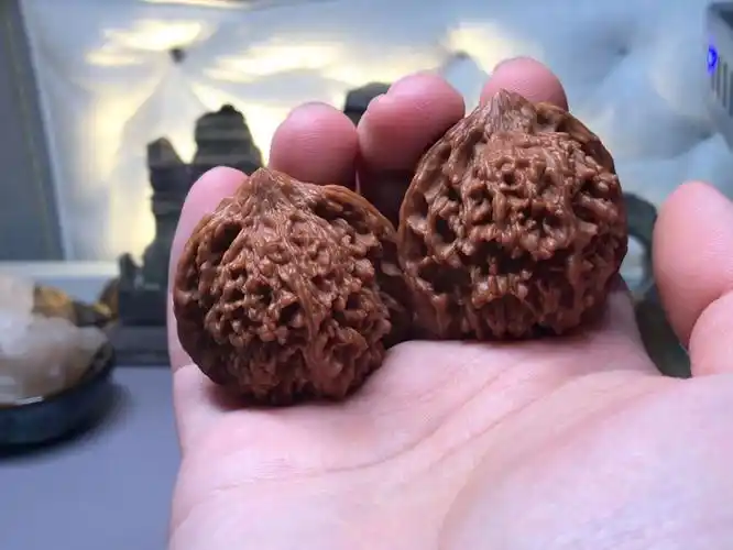 文玩核桃满天星又叫百花山,盘了一周了吧