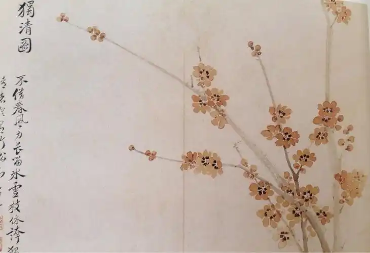 清代 恽寿平《花卉册页—腊梅花》