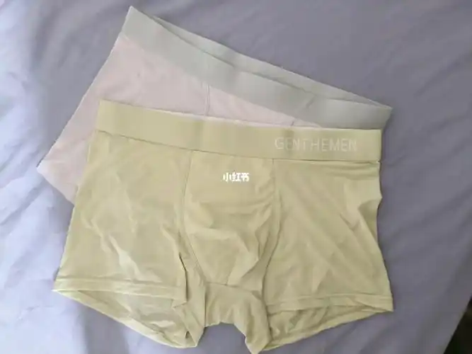 男士冰丝内裤