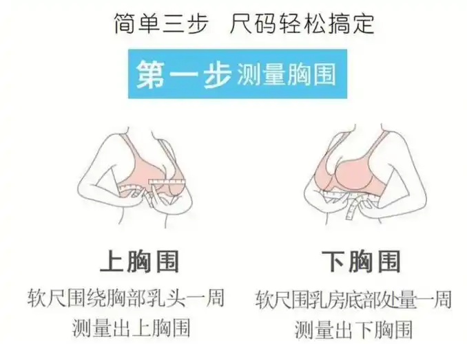 内衣尺码是由下93围和罩杯组成的.如:32a/70a,34b/75b,36b/80b等等.