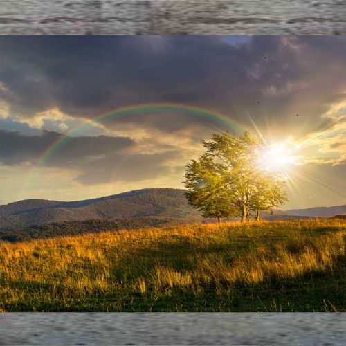 靠山自然山水风景画唯美日出林间森林日照彩虹小清新餐厅装饰画5