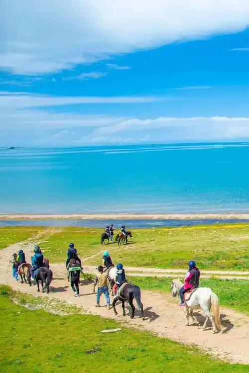 我们将从青海湖畔油菜花海骑行到青海湖边,与青海湖一起拍一张帅气的