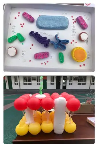 这个生物膜的流动镶嵌模型堪称经典之作.