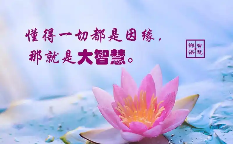 最新版佛言佛语图片欣赏不要错过711