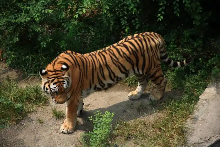 北京动物园,新手,多多关照,指点指点!