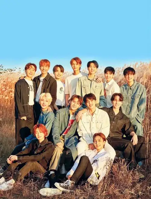 会一直喜欢seventeen的对吧