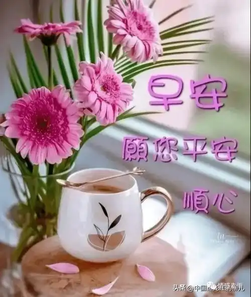 早上好,愿你我平安,快乐,顺心,如意!_问候_吉祥_朋友