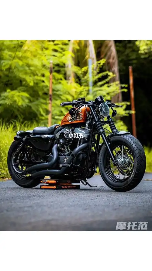 x48最新改装案例欢迎开店深圳哈雷戴维森