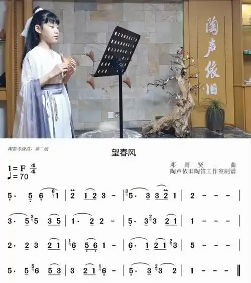 夫妻二人演奏梅花三弄声声惹人醉配合的天衣无缝