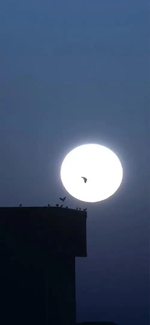 壁纸丨绝美的中秋月亮壁纸