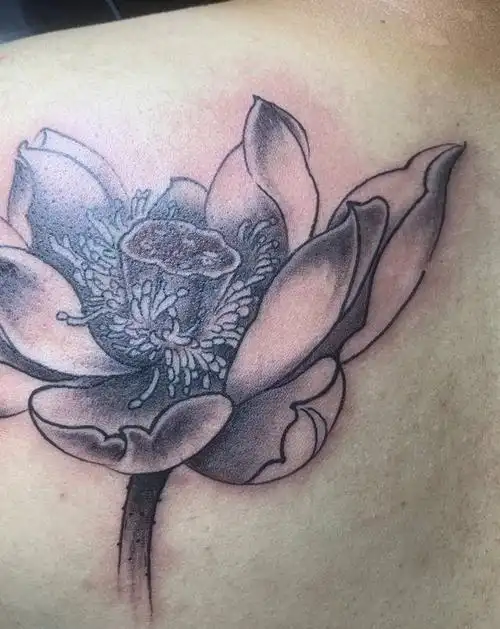 荷花纹身图片_肩部老传统纹身图案