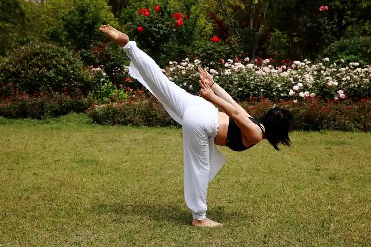 顾村公园的瑜伽