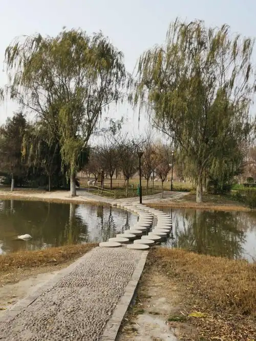 其它 河堤路风光 写美篇渭河西安段有许多景观,泾渭分明湿地,灞渭桥